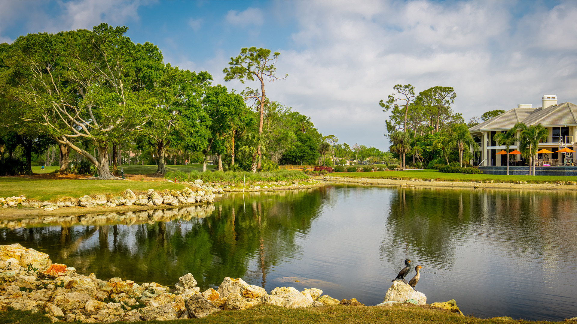 Wyndemere Golf with Wildlife